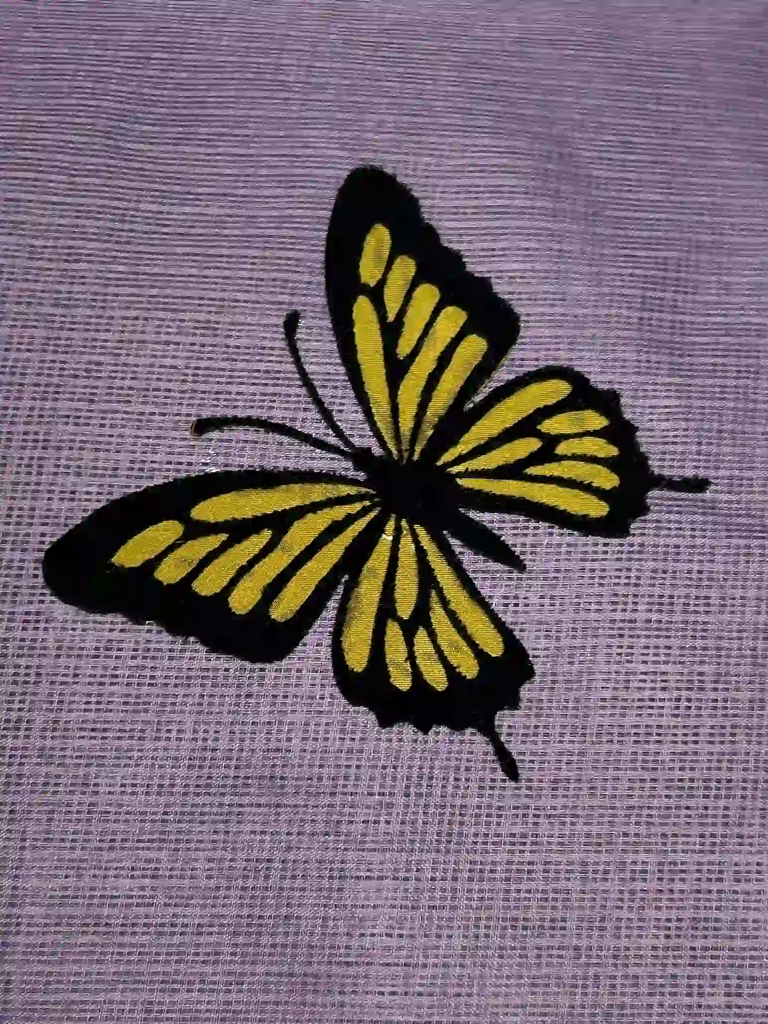 Butterfly - green